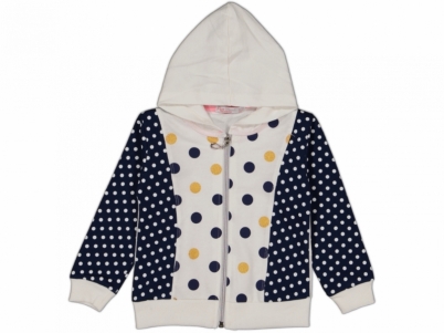 1-4 YAŞ KIZ PUANTIYE HIRKA