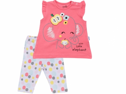 6-18 AY KIZ FİLLİ TAYTLI TAKIM