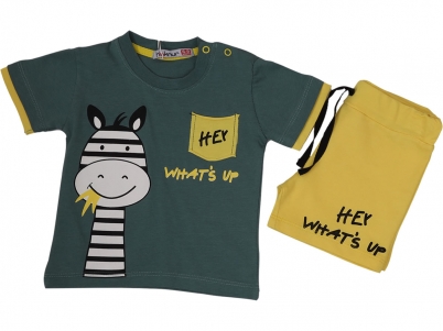 06-18 AYLIK ERKEK HEY WHATS UP ŞORTLU TAKIM