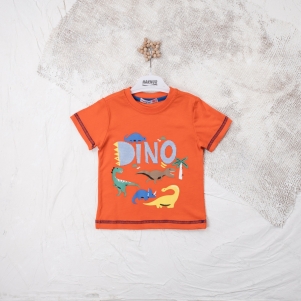 Erkek Dino Baskılı 1-4 Yaş Tişört