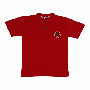 9-12 YAŞ ERKEK POLO YAKA