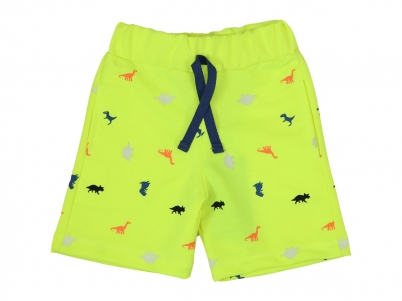 TEK ALT1-4 YAŞ ERKEK DINAZORLAR TEK ŞORT